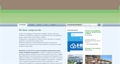 Desktop Screenshot of irrigazionebragaglia.it